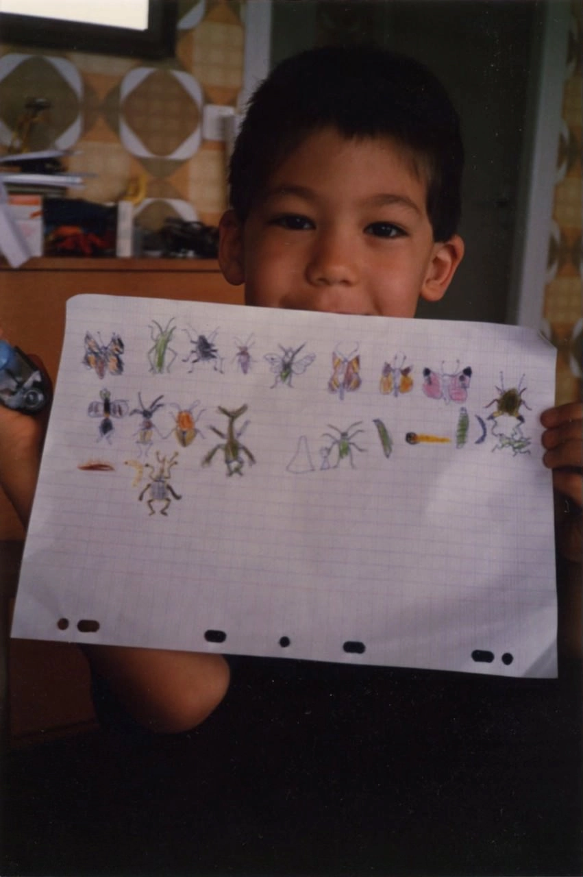 Insectes et Papillons