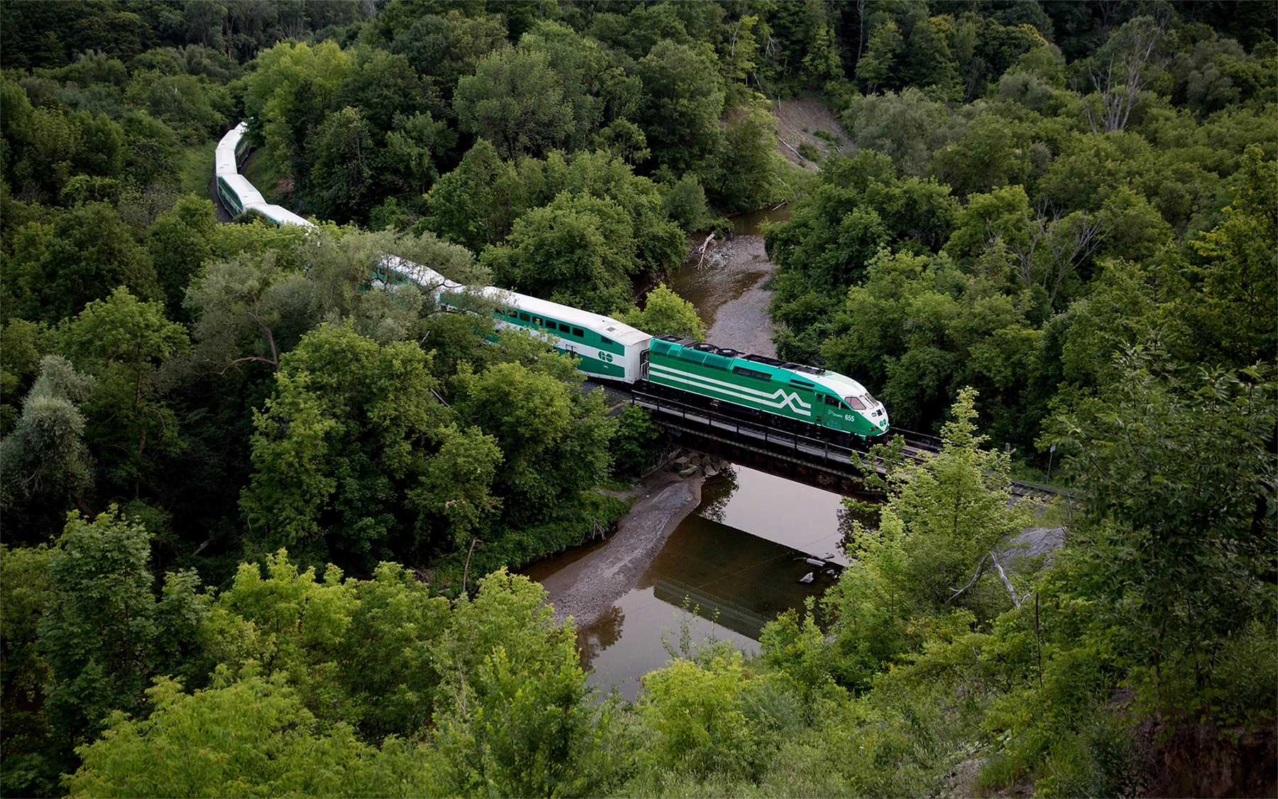Metrolinx Forest